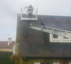 Nettoyage et démoussage